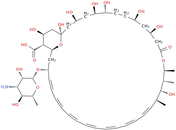 amphotericin b