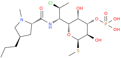 Clindamycin 3-Phosphate