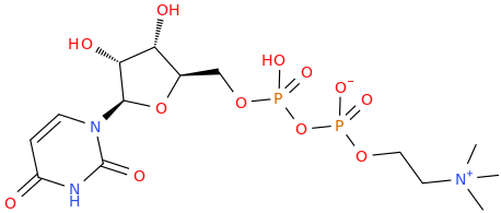 Uridine diphosphate choline